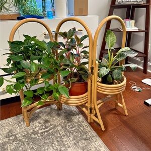 Natural Rattan Triple Plant Holder